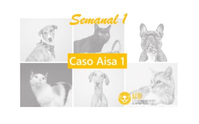 Semanal 1: Caso Aisa 1