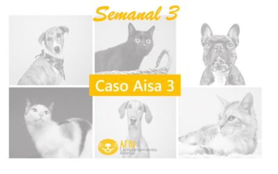 Semanal 3: Caso Aisa 3