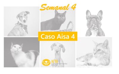 SEMANAL 4: CASO AISA 4