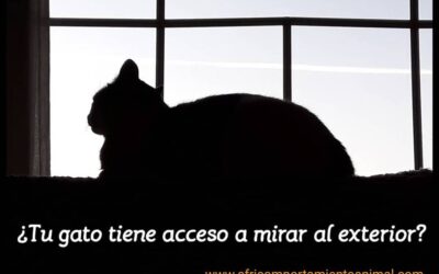 Marzo