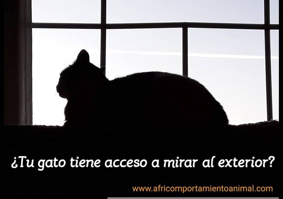 ventana