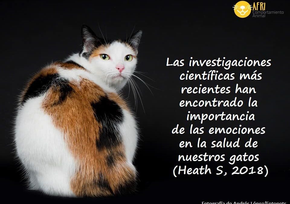 emociones animal4