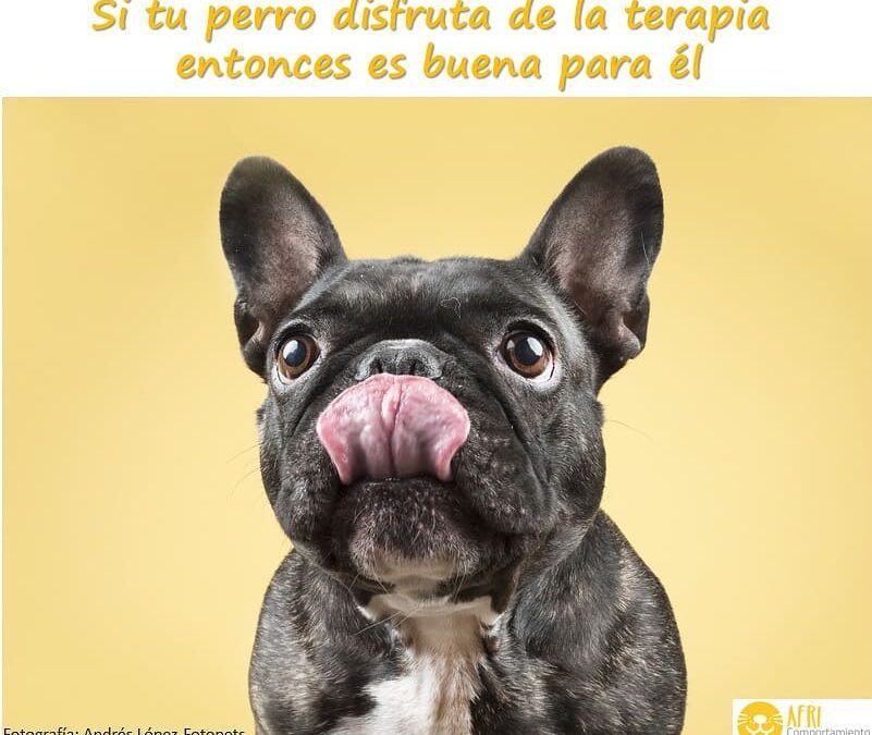 3 terapia buena