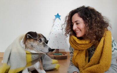 ¿Cómo disfrutar la navidad con tu perro o gato?