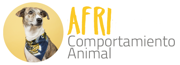 Afri Comportamiento Animal