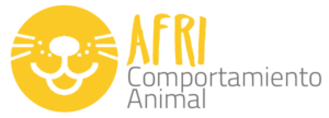 logoprueba2